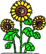 KGV Harmonie Logo